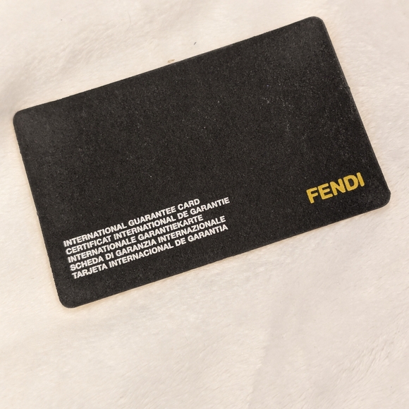 Fendi Sunglasses Multicolor Accents - Picture 8 of 9